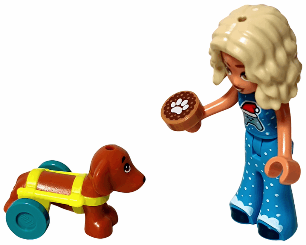 LEGO Friends 42668 ノヴァが茶色の犬・ピクルスにごはんをあげているシーン。ノヴァは青いパジャマを着て、肉球プリントのクッキーを手にしている。ピクルスは黄色の補助具をつけた茶色の犬のフィギュア。