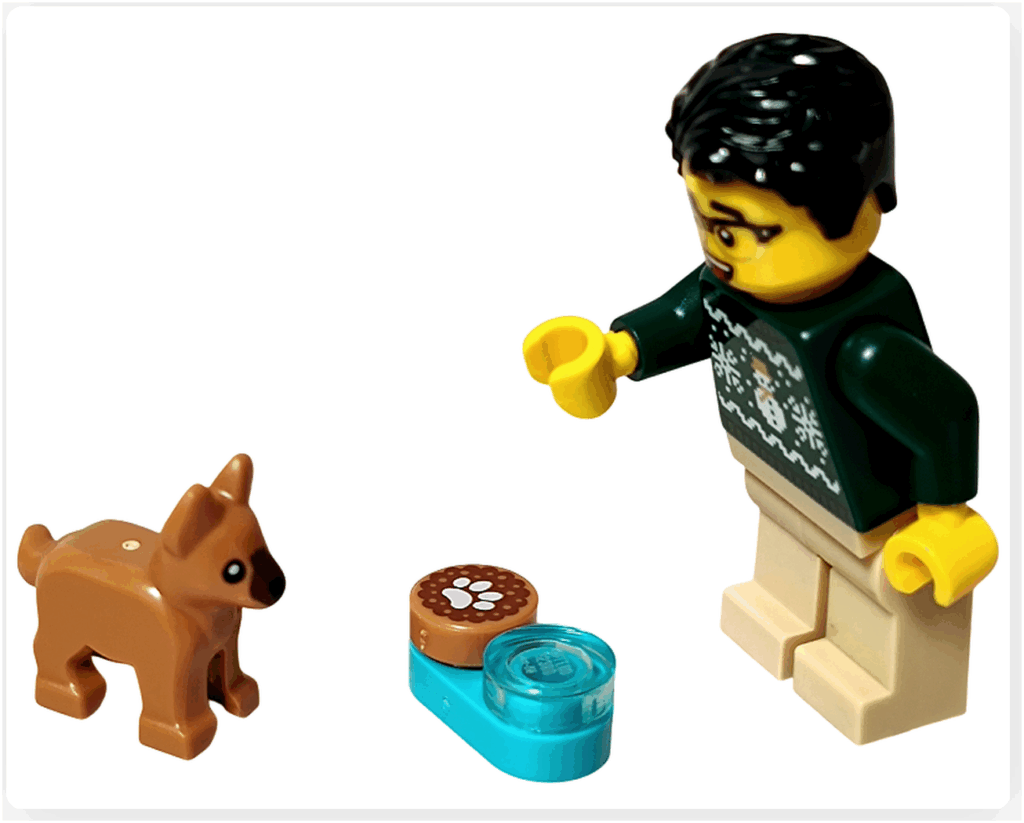 LEGO CITY 60475 Advent Calendar 2025（7日目）子犬にフードを差し出すミニフィグのシーン。ブラウンの子犬と器、ミニフィグの動きある構図。