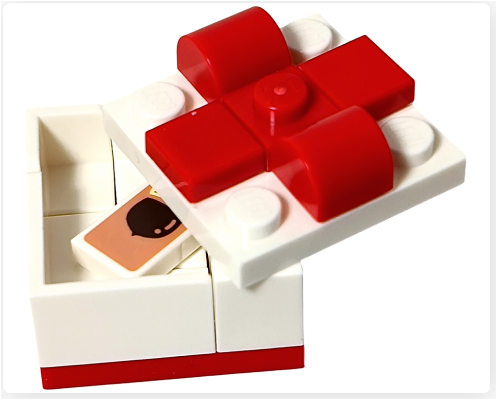 レゴ 30731 たぬきちと空飛ぶプレゼント プレゼントボックス 開封状態 中身表示