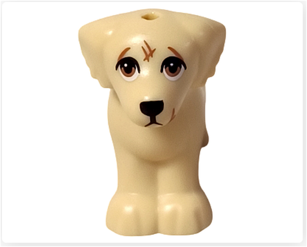 レゴ フレンズ 41727 ワンちゃんレスキューセンター 犬 フィギュア グレース 正面 額と顎に傷のある犬