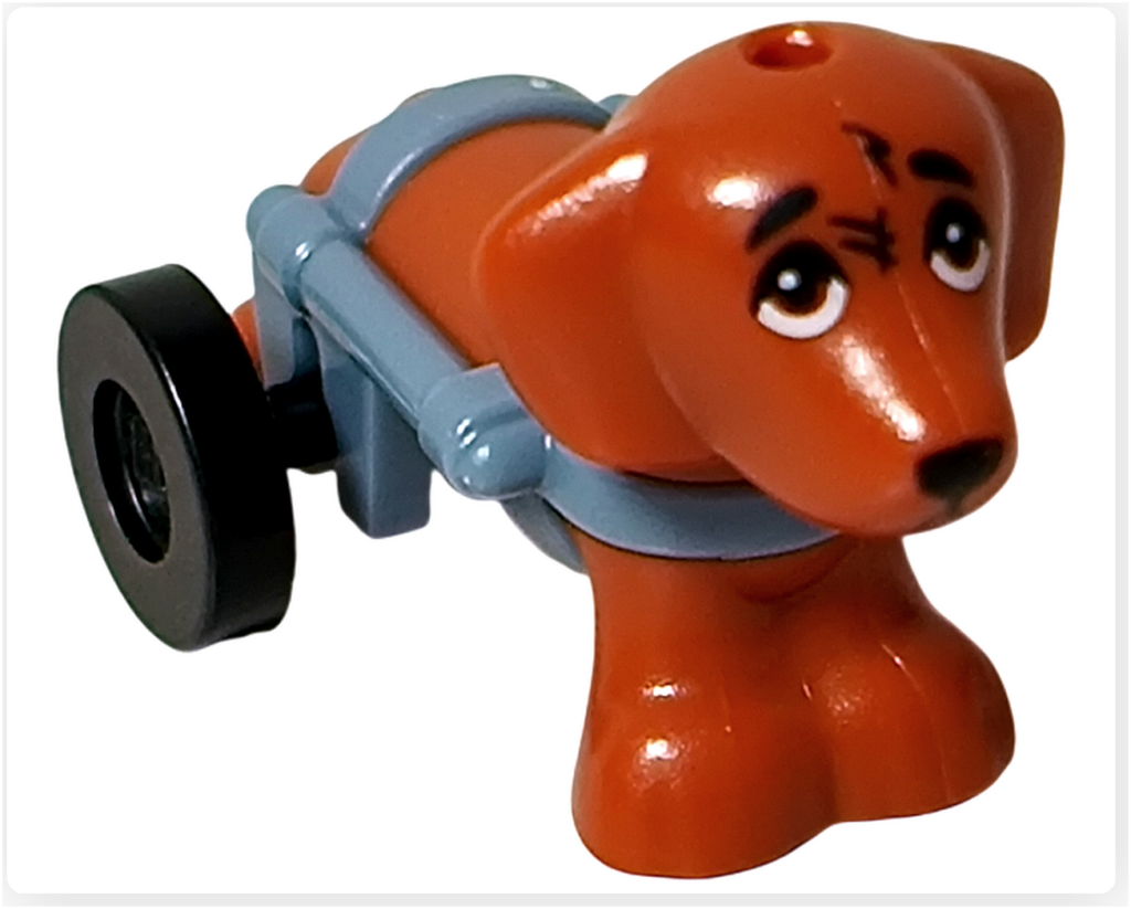 レゴ 41741 ワンちゃんレスキュートラック ピクルス 正面 車輪付き補助ハーネスの犬